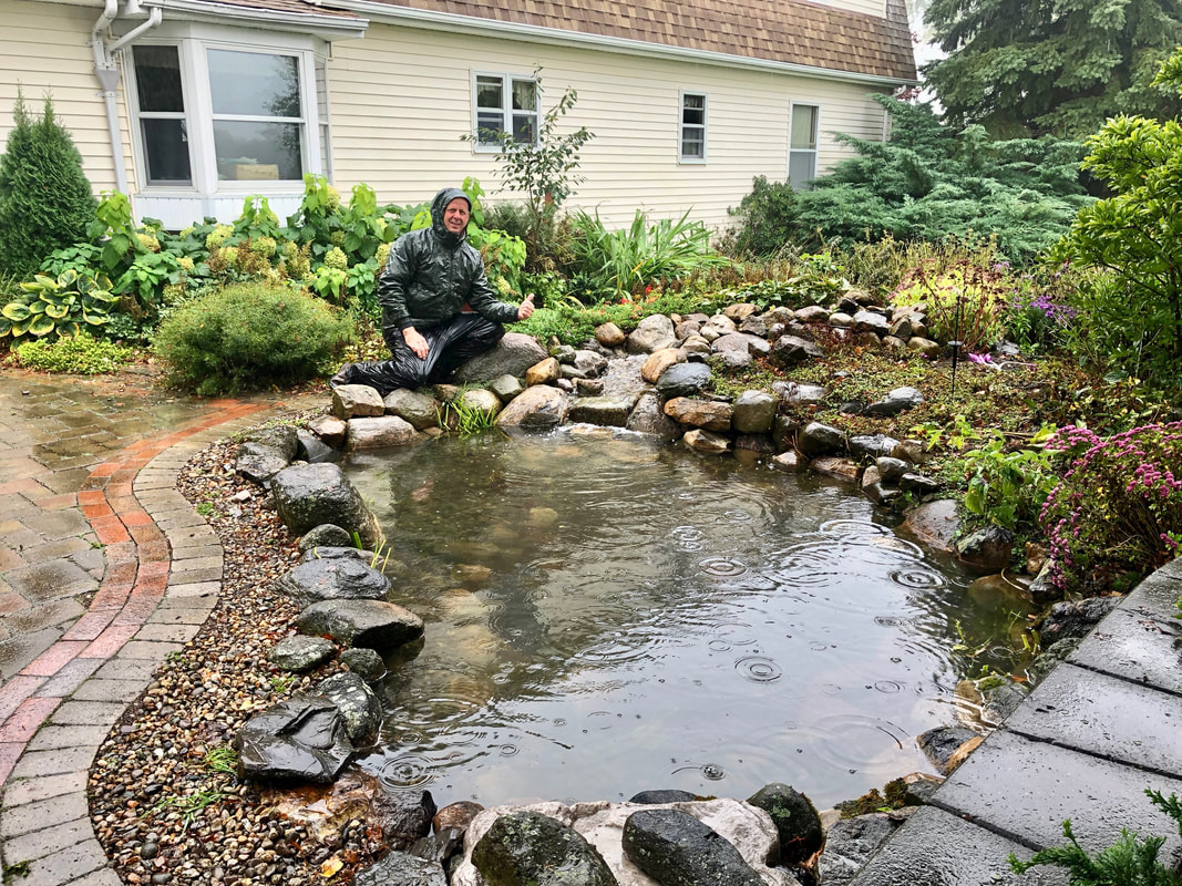 pond maintenance near me