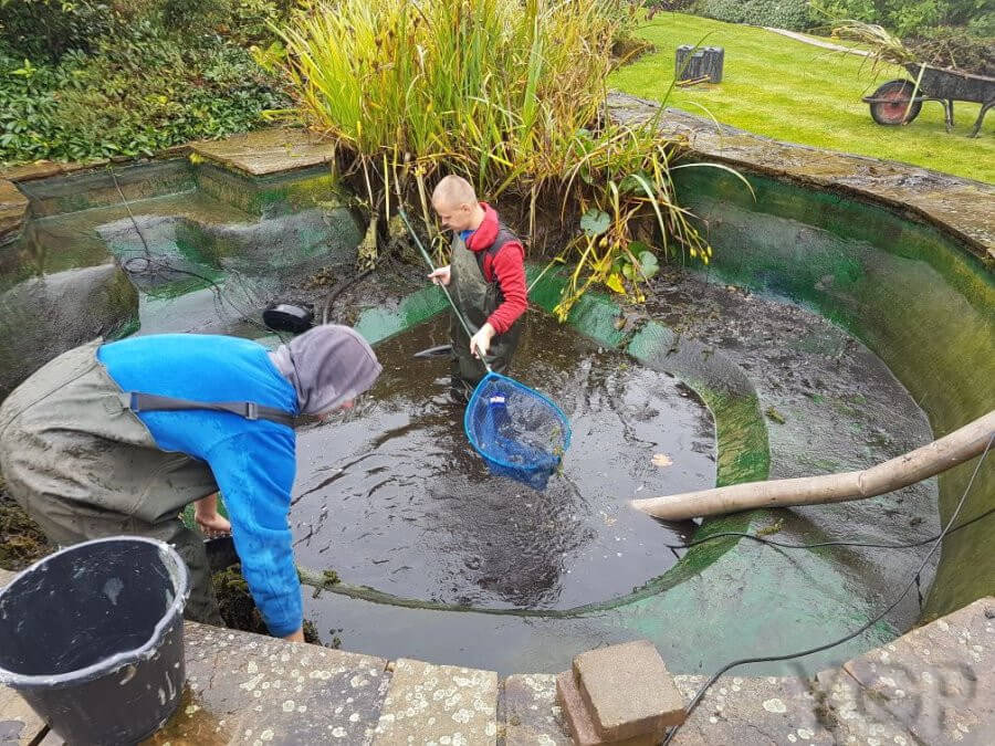 pond cleaning service